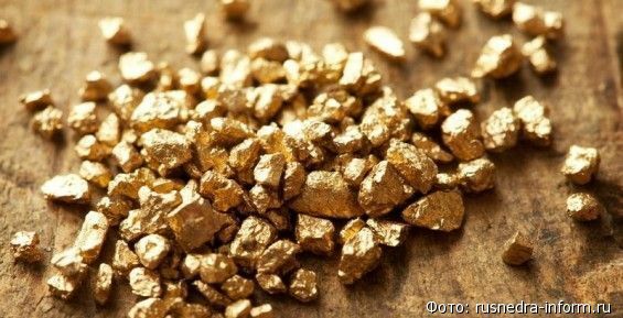 На Чукотке с начала года добыли почти 13,5 тонн золота