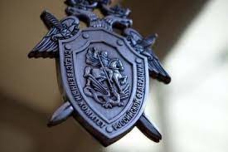 По факту укуса безнадзорной собакой 9-летнего мальчика в селе Омолон проводится доследственная проверка