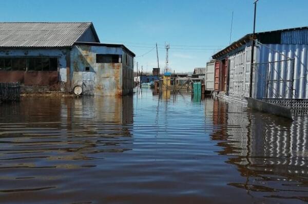 Большая вода начала отступать от села Ваеги