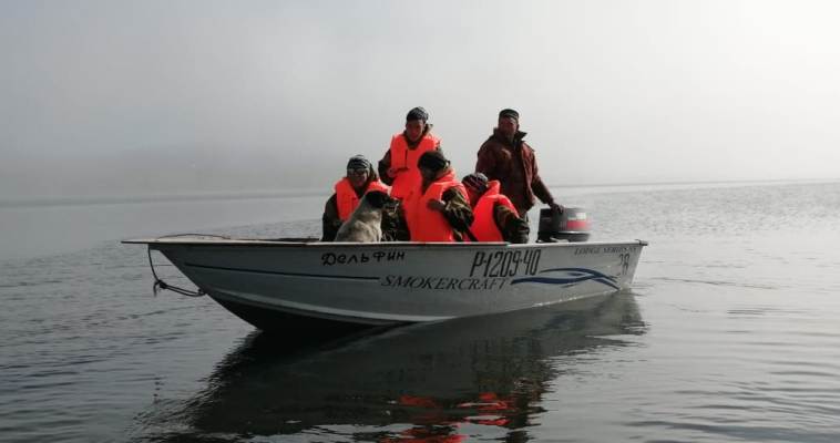 Итоги "Школы юного морзверобоя" подвели в Чукотском районе
