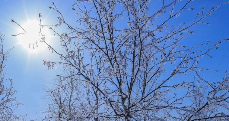 До +5 прогреется воздух в округе во вторник днем 