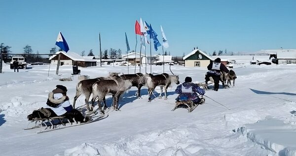 Снегоход и генераторы получат лучшие оленеводы Анадырского района