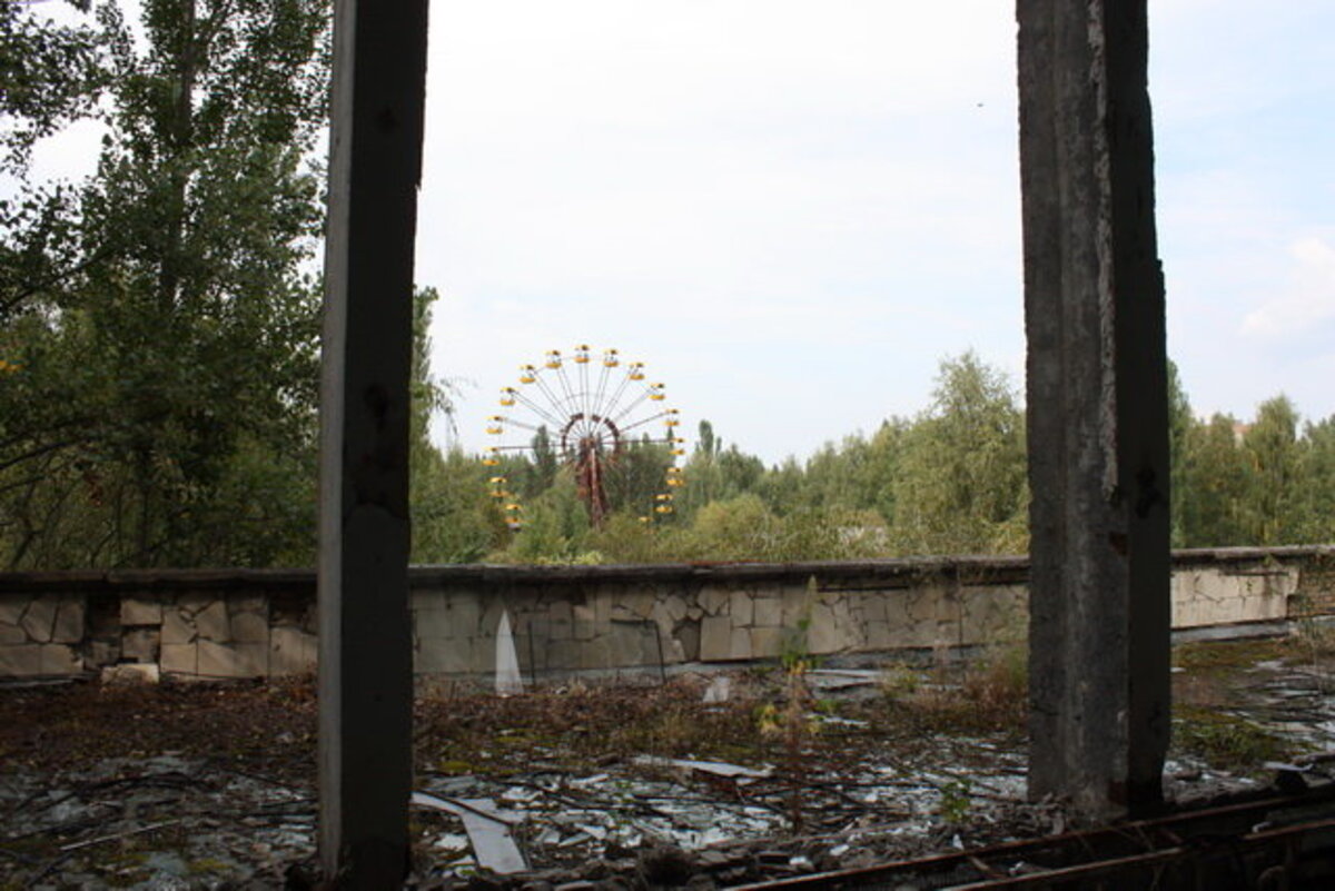Фотография