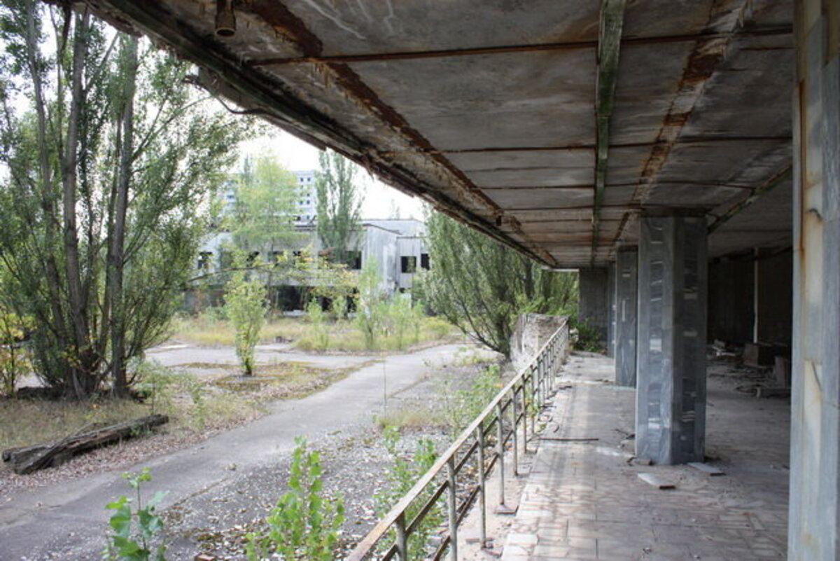 Фотография