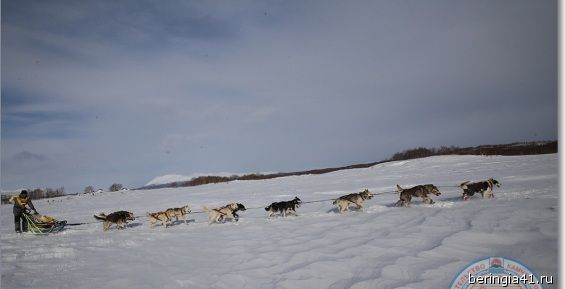 Геннадий Томилов финишировал восьмым на девятом этапе «Берингии»