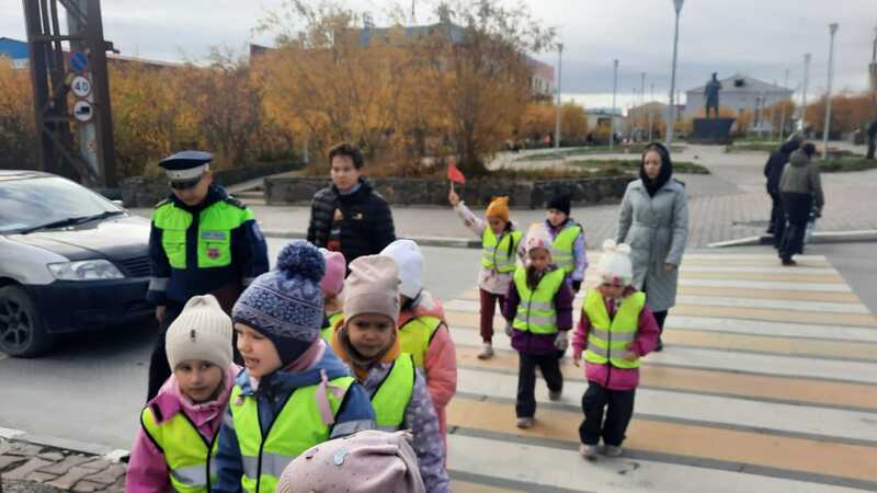 На территории города и городского округа Анадырь полицейскими проведена профилактическая акция «Светоотражайка»