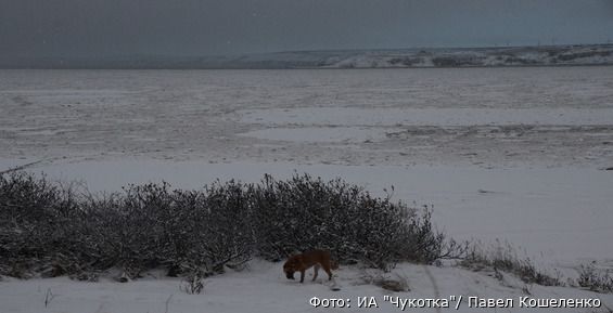 Неблагоприятные погодные условия ожидаются на территории ЧАО в воскресенье