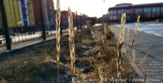 В среду на Чукотке будет ветрено