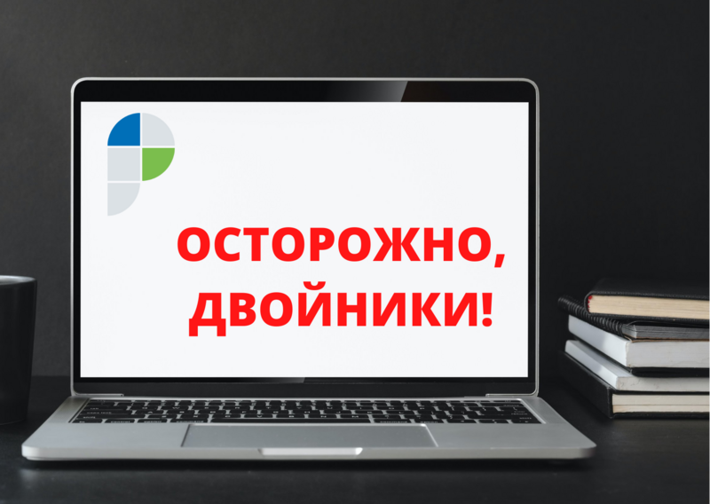 Как распознать сайты-двойники Росреестра и почему они опасны?
