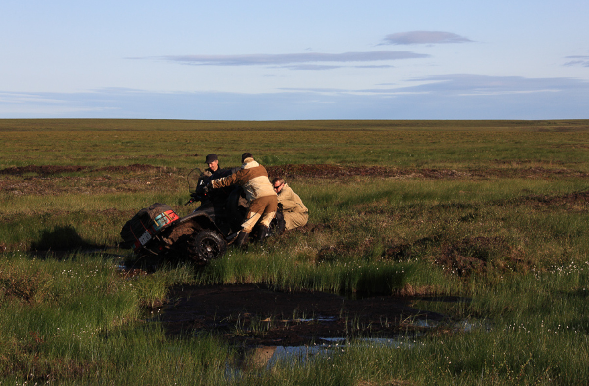 Фотография