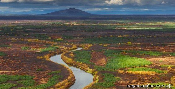 Более 100 заявок на «дальневосточный гектар» получили власти Чукотки с начала года 
