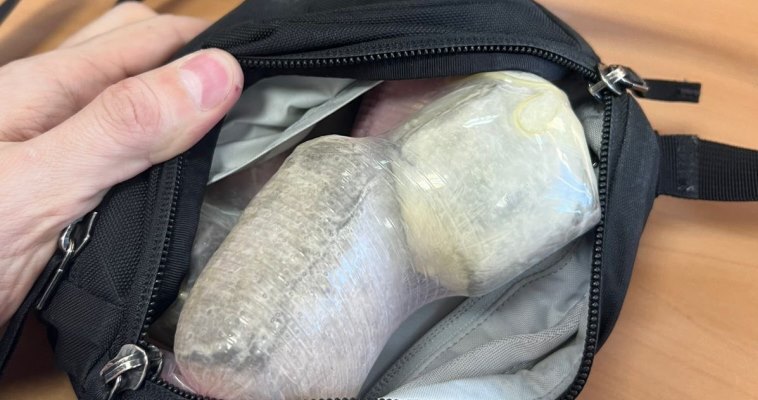 Полкило гашиша обнаружили у двух пассажиров в аэропорту Анадыря