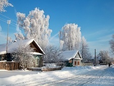 Зимняя пора