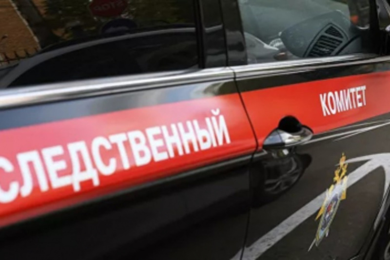 По факту гибели женщины с двумя детьми при пожаре в селе Нунлигран, возбуждено уголовное дело