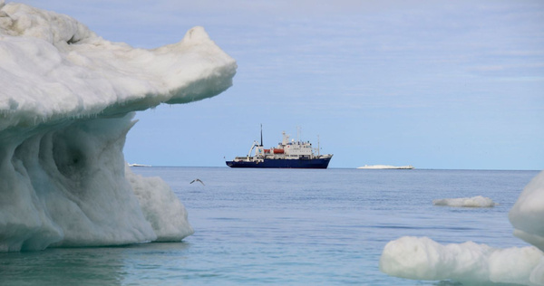 Туристы раскупили все морские круизы по Чукотке на следующий год 
