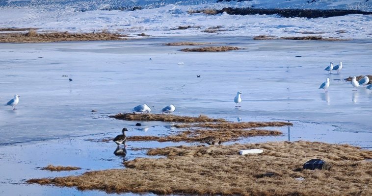 Переменная облачность прогнозируется на территории округа во вторник