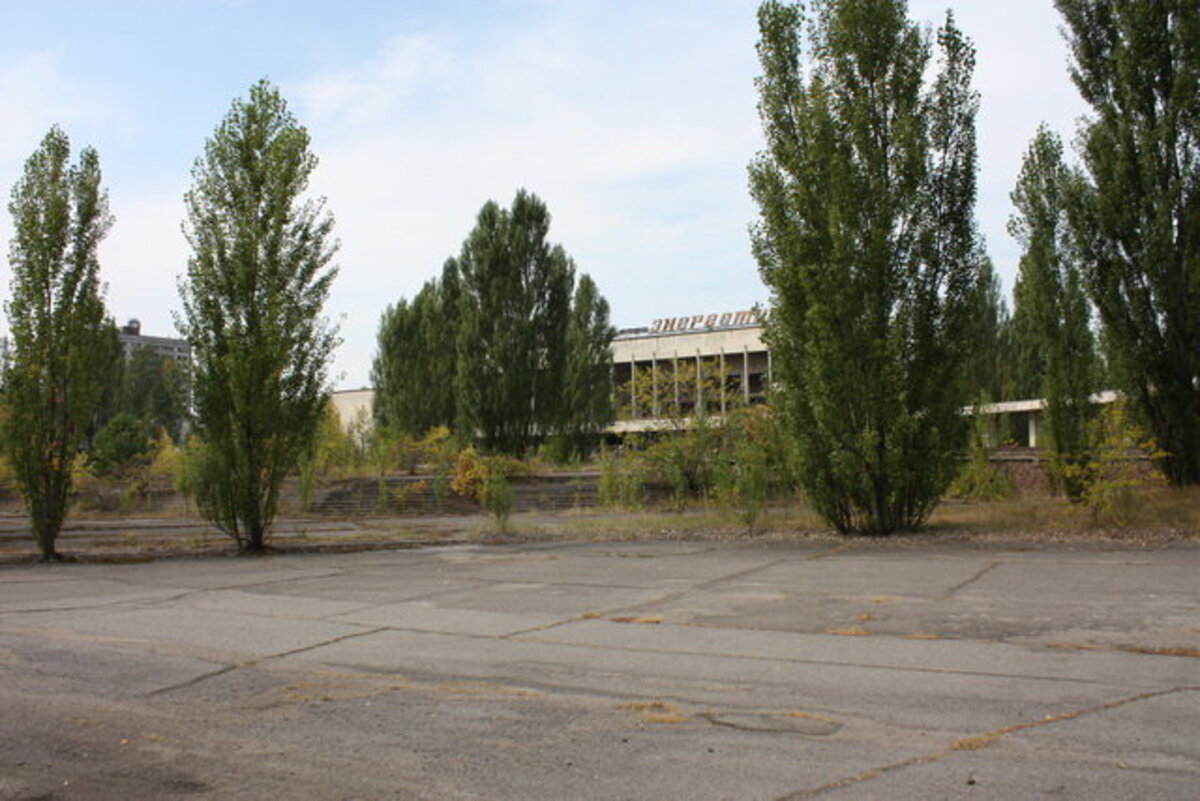 Фотография