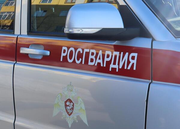 Росгвардейцы задержали агрессивного гражданина в ресто-баре Певека