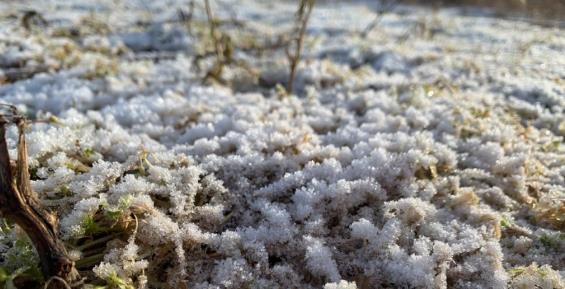 До +2 градусов прогреется воздух на востоке региона в воскресенье