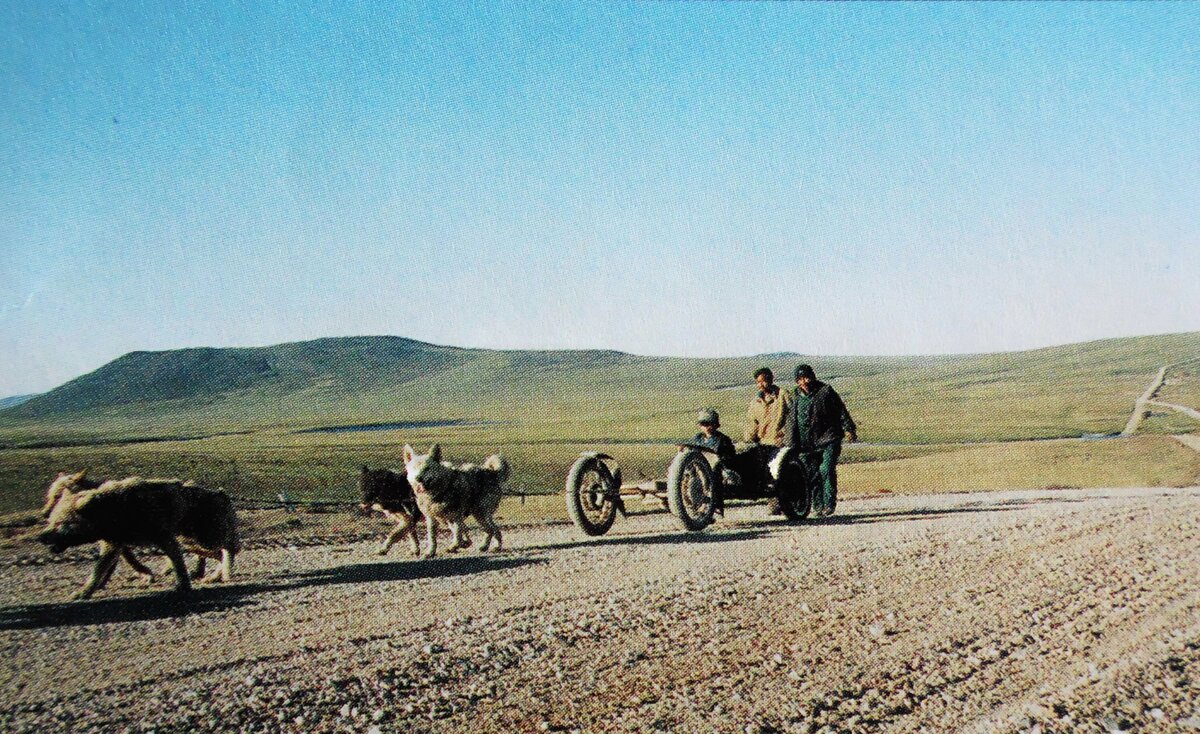 Фотография