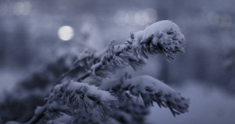 В понедельник в континентальных районах Чукотки ожидается похолодание до -42 градусов