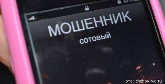 Чукотские полицейские задержали группу лжериелторов из Ростовской области