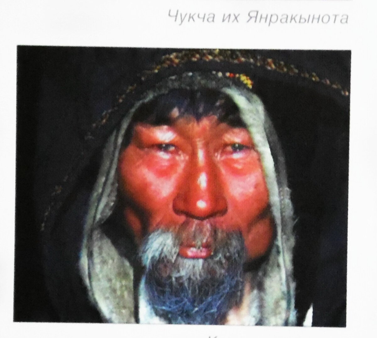 Фотография