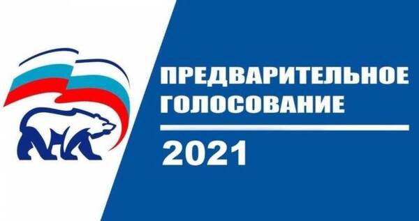 На Чукотке стартовало предварительное голосование "Единой России"