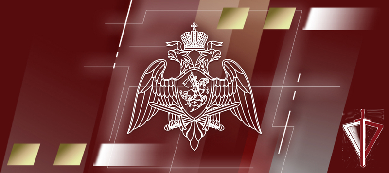 Росгвардия объявляет «амнистию» владельцам оружия, изъявившим желание сдать его для использования в рамках специальной военной операции