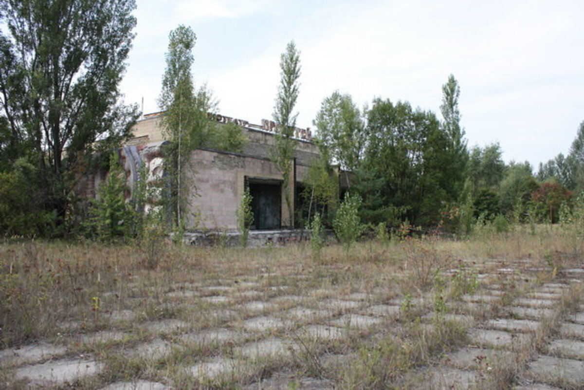 Фотография