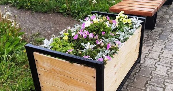 Около 7,5 тысяч декоративных цветов высадили летом на улицах Анадыря