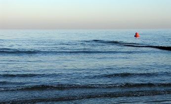Морские охотники Чукотки обнаружили два иностранных радиобуя