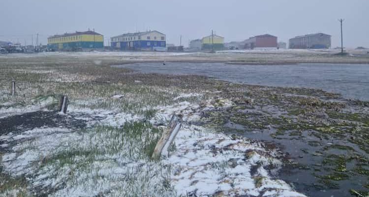 В четверг на арктическом побережье региона ожидается мокрый снег