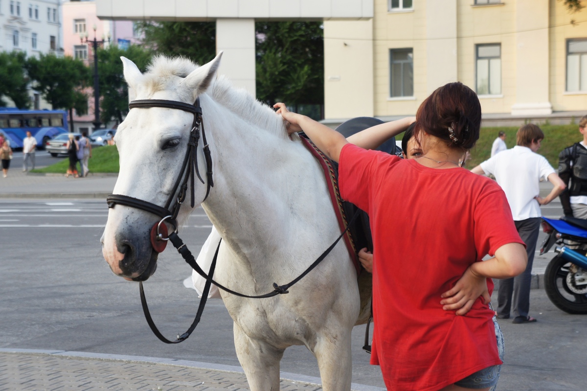 улицы Хабаровска