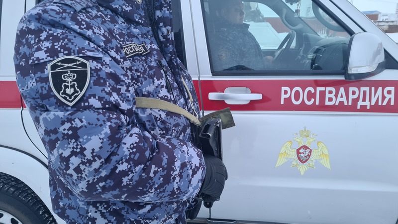 На   Чукотке  Росгвардия  усилит меры безопасности  в период новогодних и рождественских праздников 