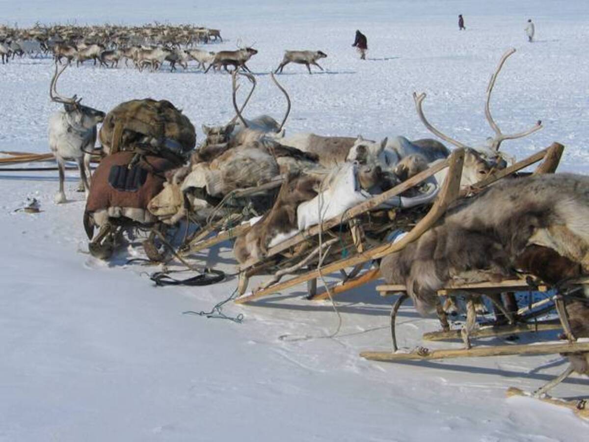 перед качевкой