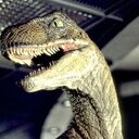 Raptor