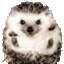 EDELSTAR