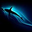 shark shark