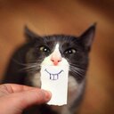 Михаил