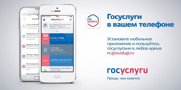 Приложение Госуслуги