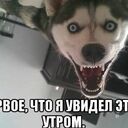 Андрей Яворовский