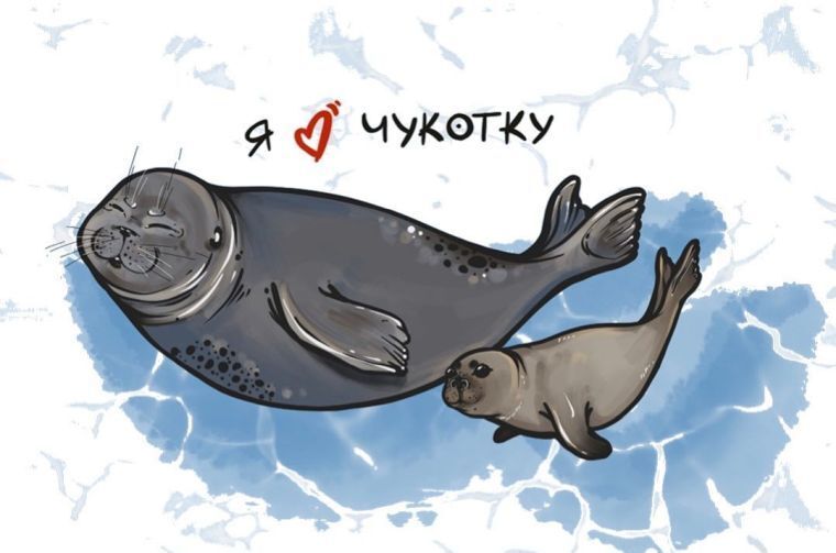 "Карта жителя Чукотки" заработает в сентябре