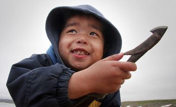 Чукотские охотники смогут хранить мясо кита в морозильных камерах
