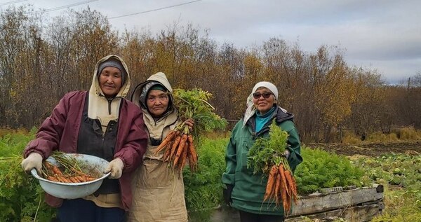 На Чукотке по программе «Дальневосточный гектар» выдано почти 1350 участков