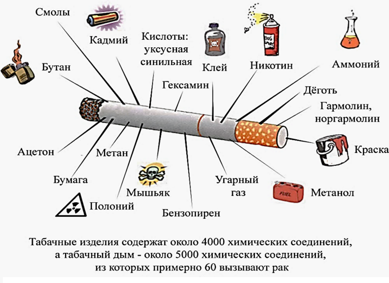 Вред табачного дыма, наносимый организму