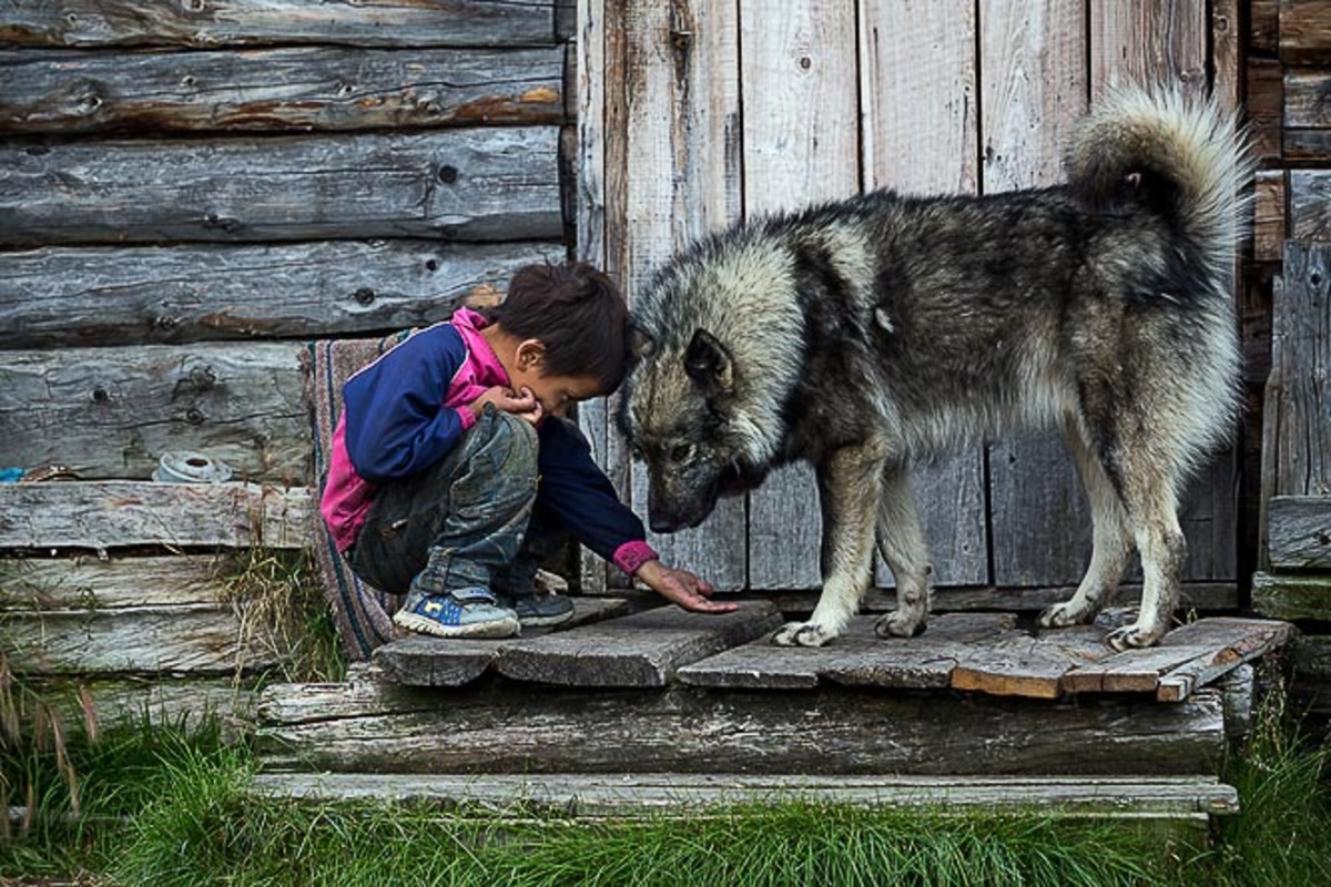 Фотография