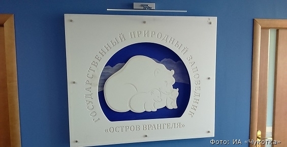 Инфоцентр заповедника «Остров Врангеля» в Певеке примет первых посетителей в октябре
