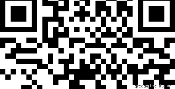 На выборах в Провидения успешно протестировали технологию QR-кода