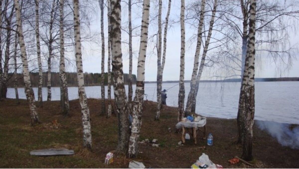 май 2011 тверская обл